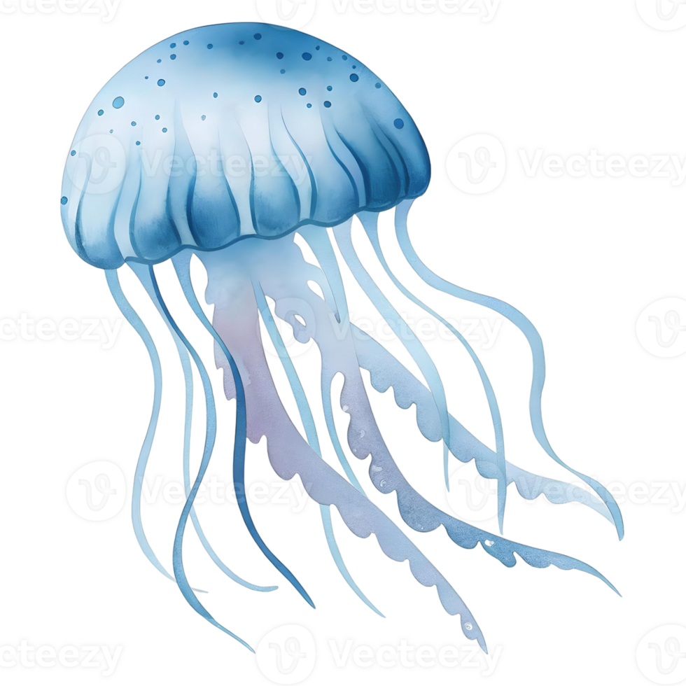 Illustration of a blue jellyfish with long tentacles floating on a transparent background space ocean life png