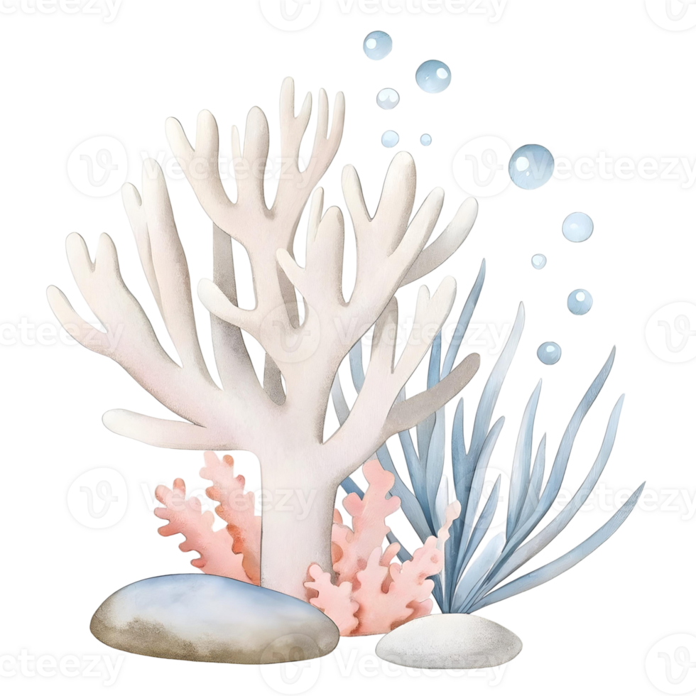 Illustration of white coral with pink coral blue seaweed and bubbles on a transparent background png