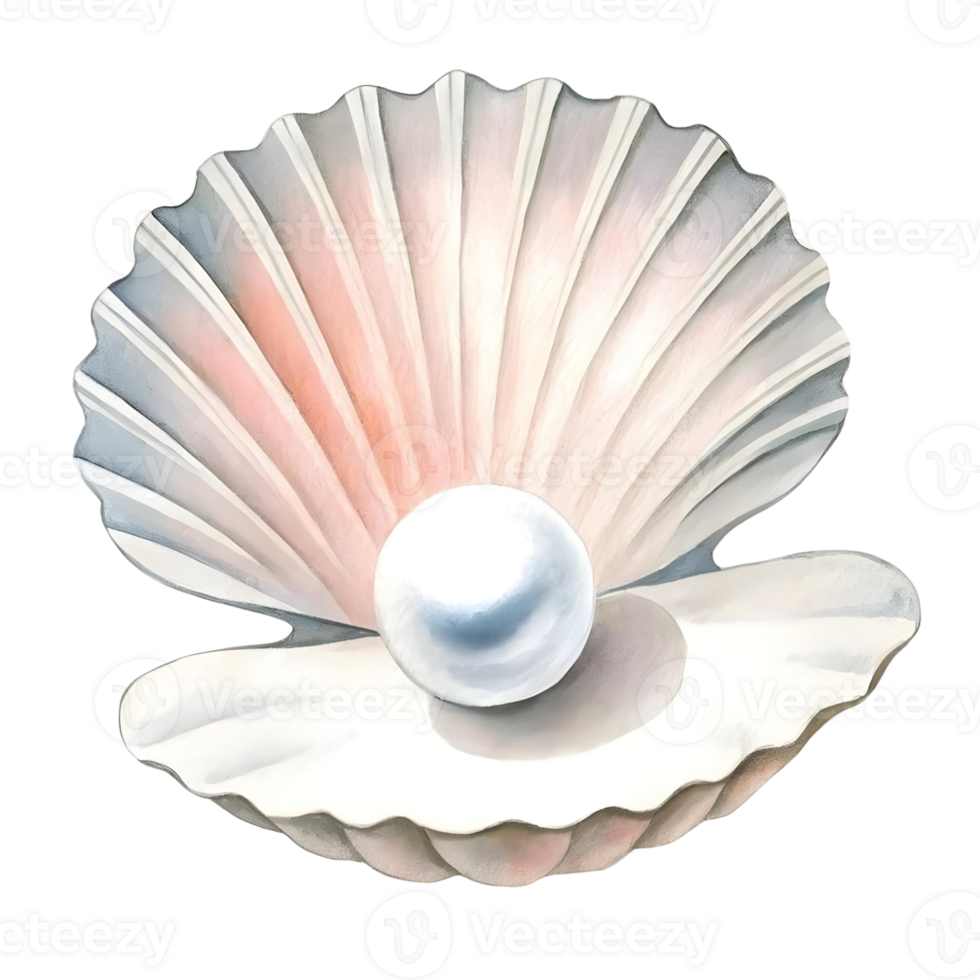 A close up of an oyster shell with a pearl inside against a transparent background in a digital painting png