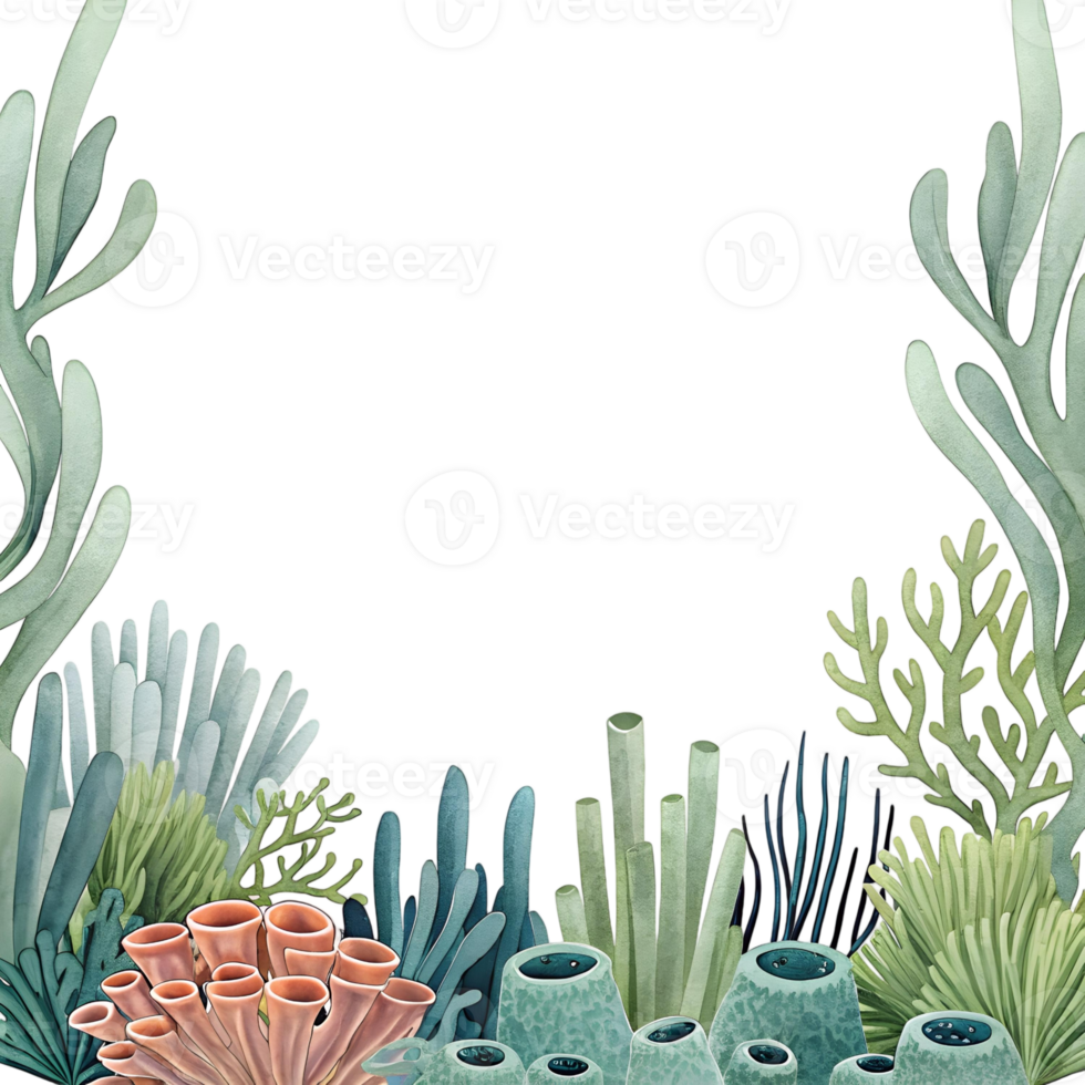 A watercolor illustration of various coral reefs and seaweed against a transparent background space for text png
