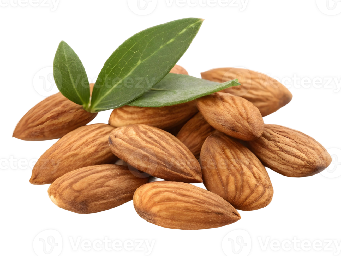 Close-up of almonds with fresh green leaves png