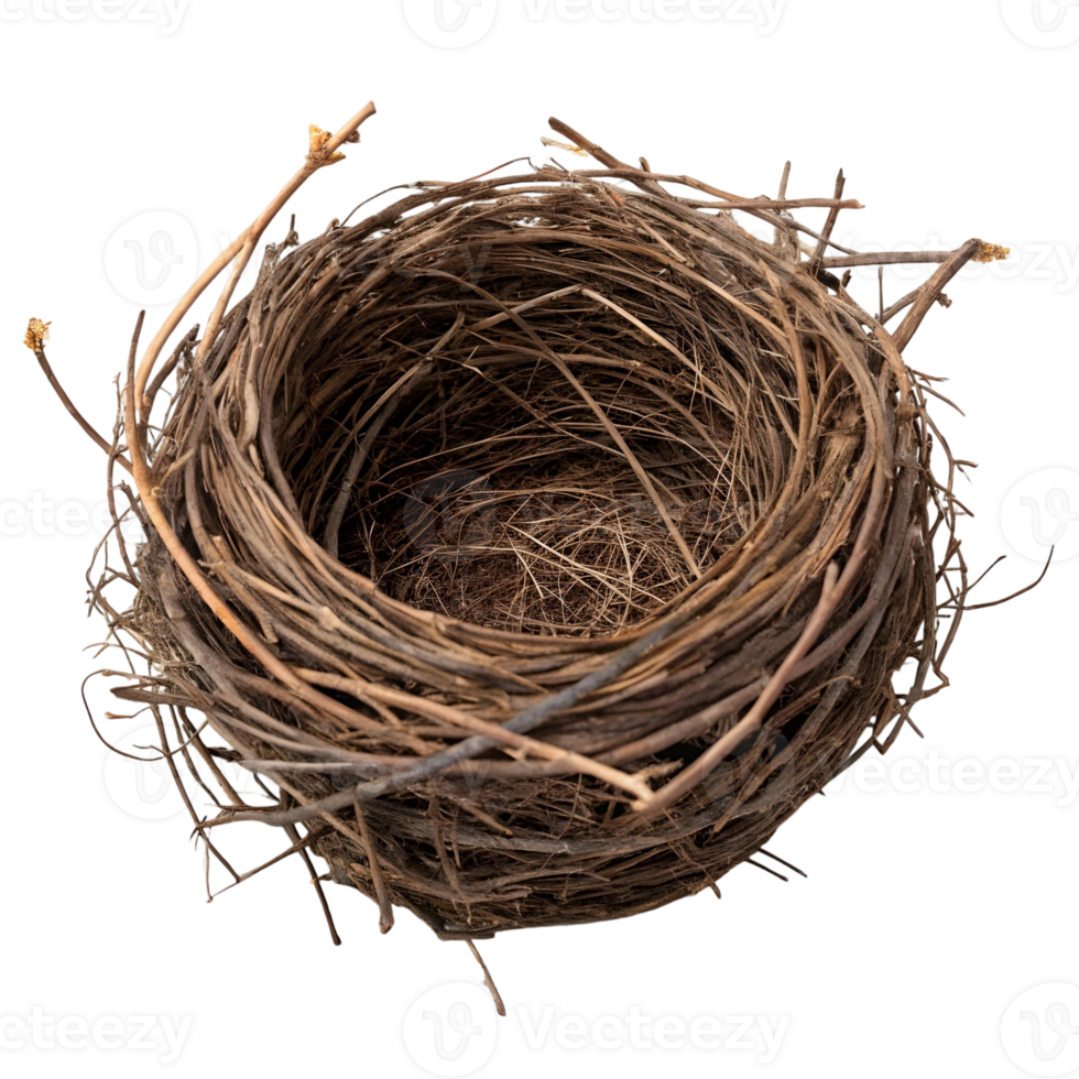Empty bird's nest made of thin brown twigs, photorealistic close-up png