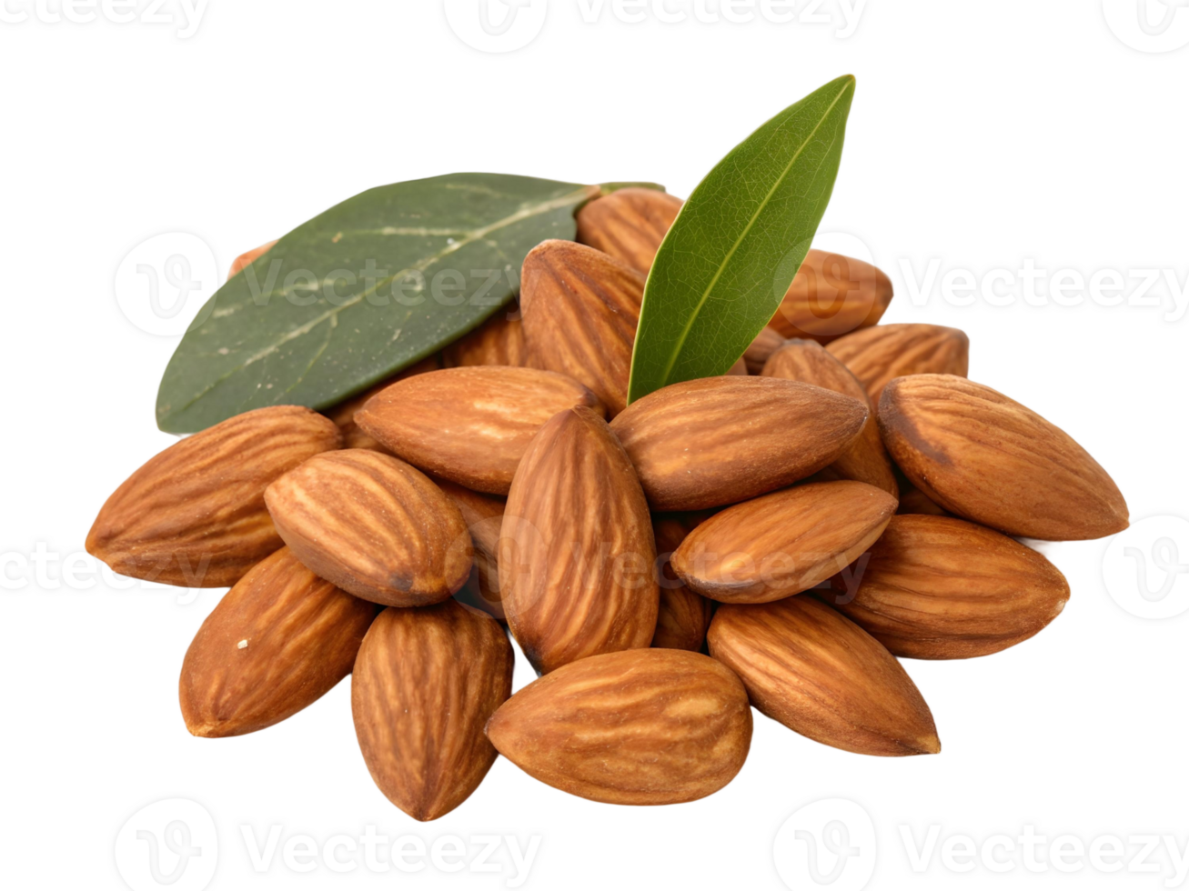 Group of almonds with green leaves png
