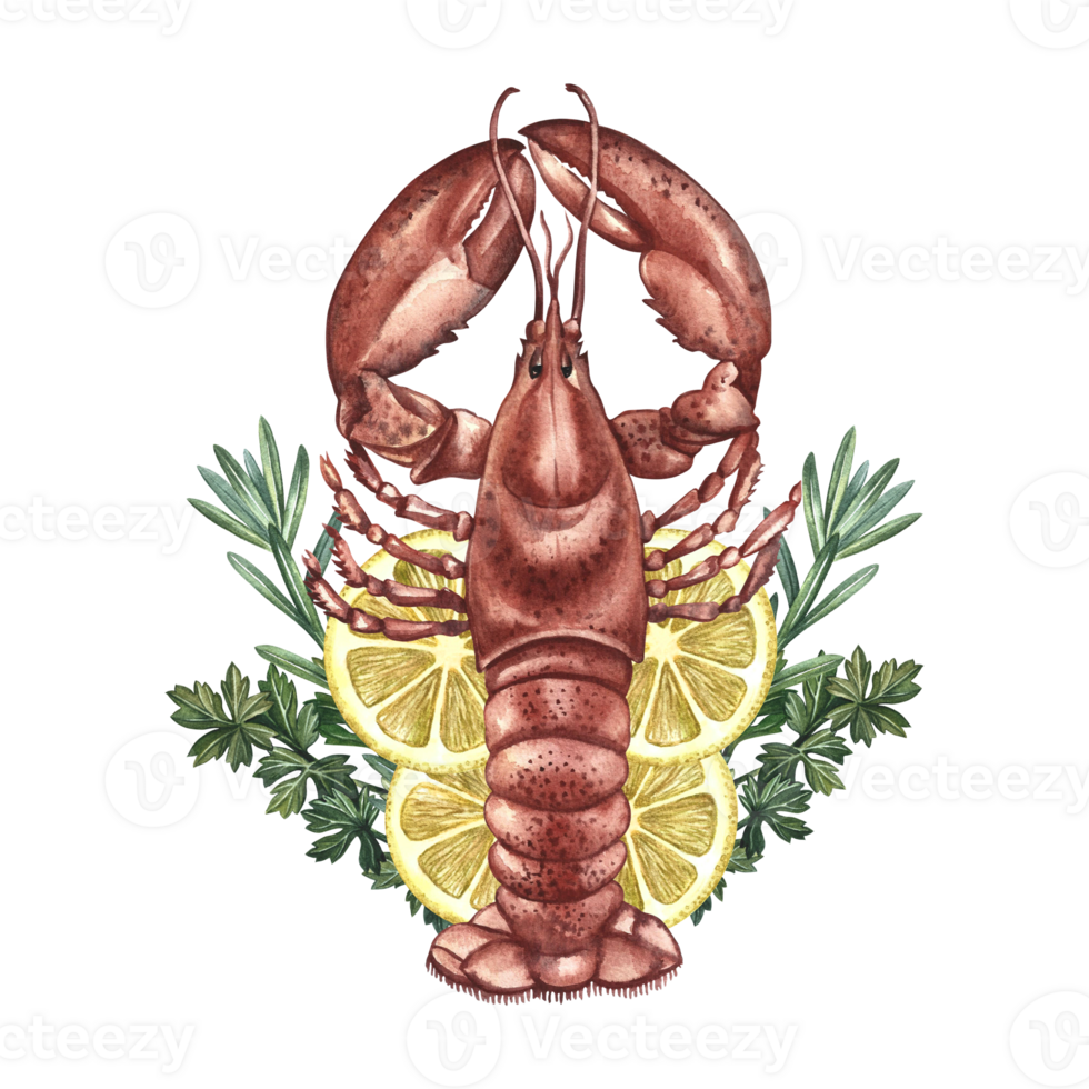 Lobster with lemon and herbs. Handmade watercolor illustration. A color image of a lobster dish. Separate from the background. For menus, recipe books, packages, labels. png