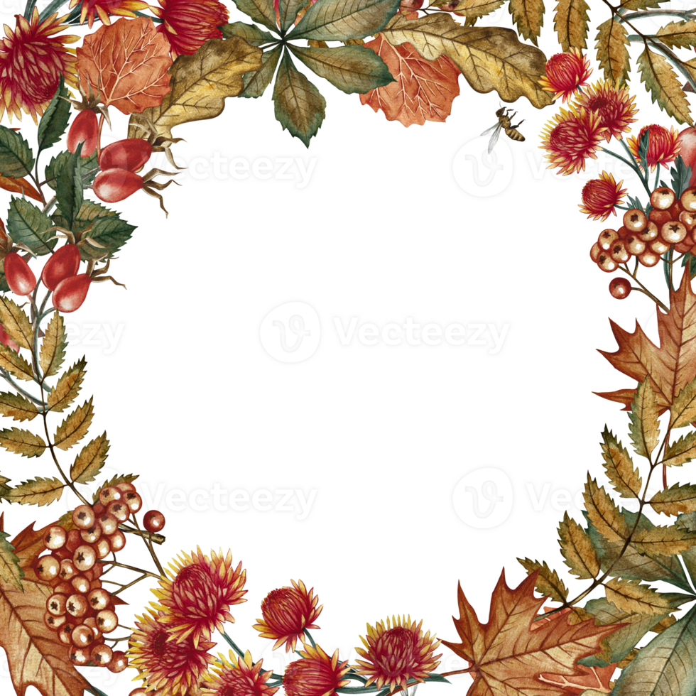 A frame with autumn leaves, flowers, mountain ash and other autumn elements. Handmade watercolor illustration. Color image. For greeting and invitation cards, banners and posters, stickers, prints. png