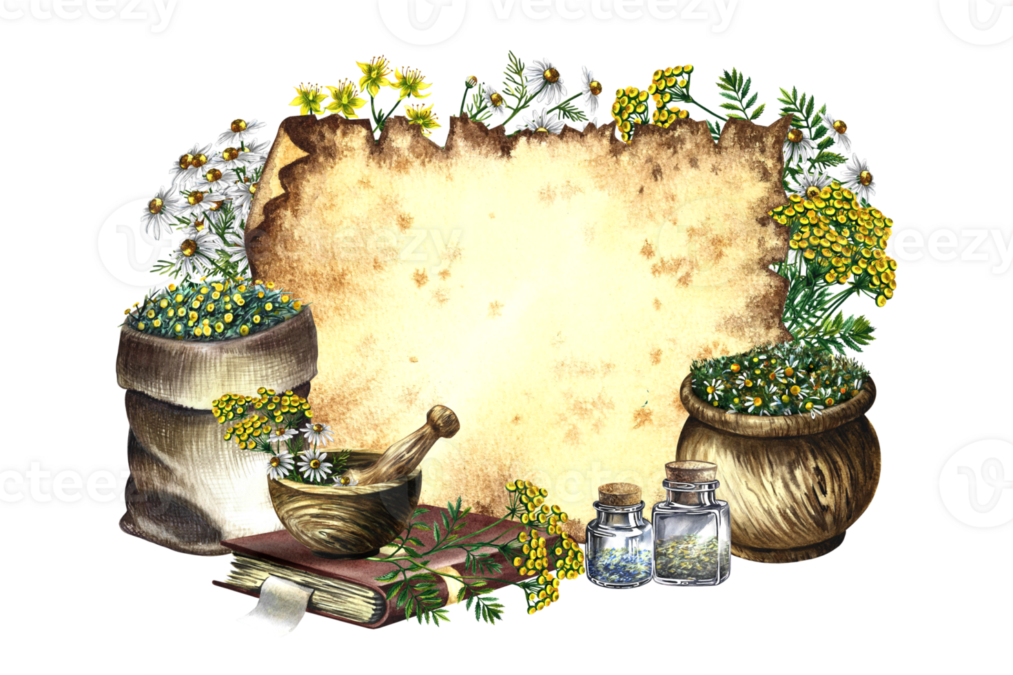 Medicinal herbs, chamomile, St. John's wort and tansy. Frame for writing on parchment. Dry, grind in a linen bag, in glass bottles and a wooden pot, old recipe book. Watercolor hand drawn illustration png