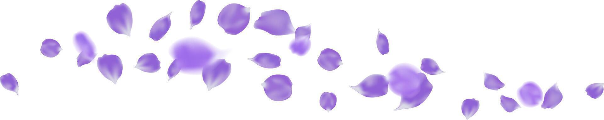 Rose petals purple color flying fresh isolated with romantic background, greeting card decoration vector