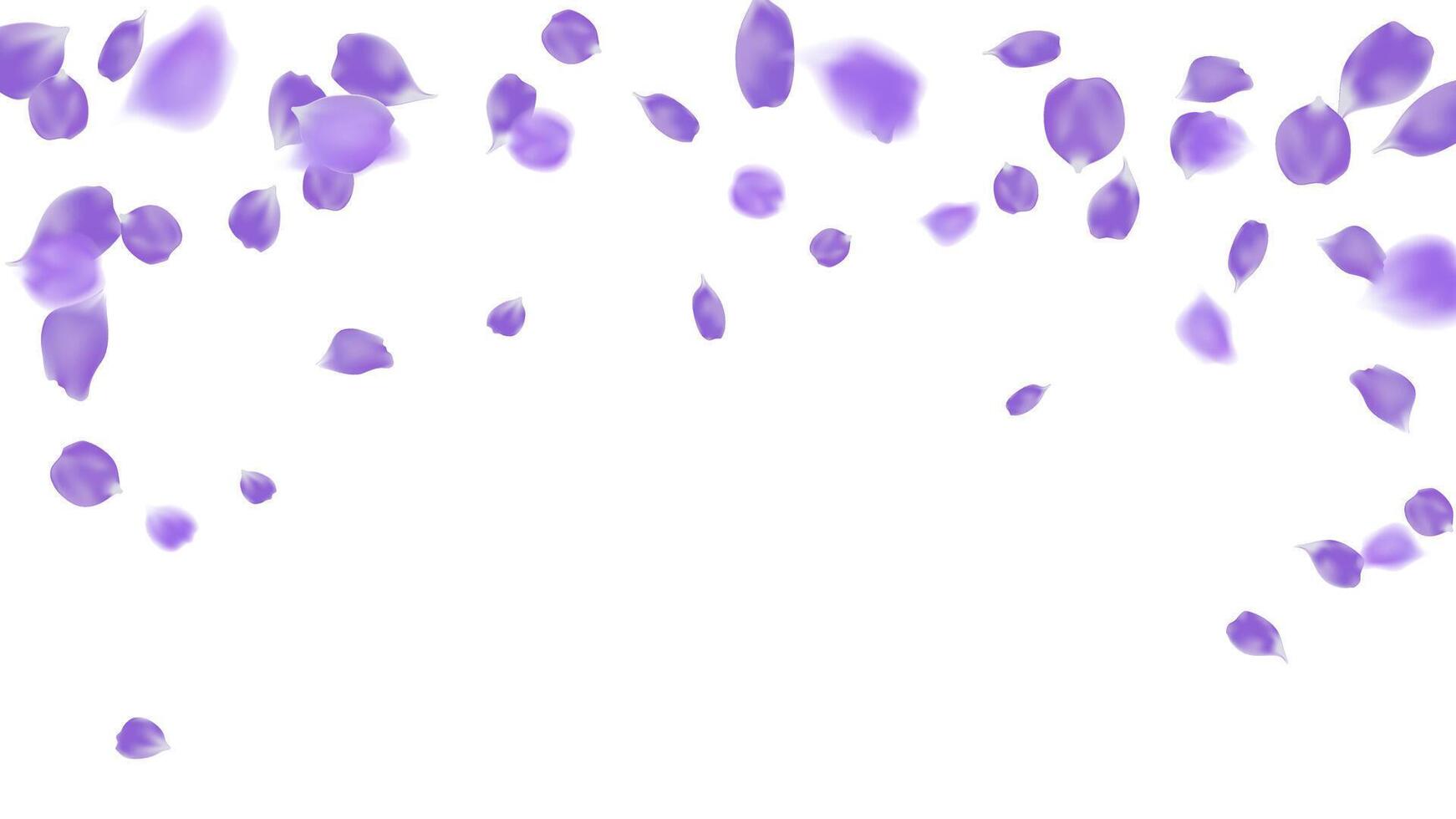 Purple rose petal flying tender banner background illustration. Fall flower frame vector