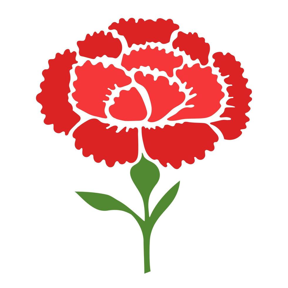 Red carnation illustration isolated in white background vector