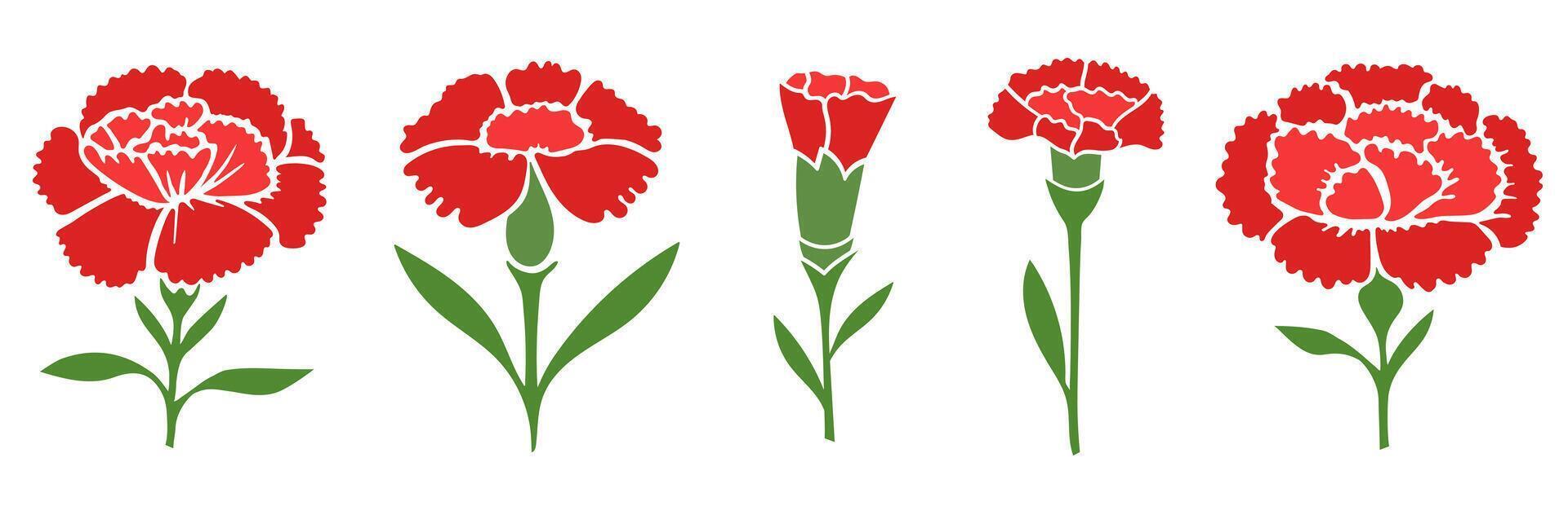 Set of red carnations illustration isolated on white background vector