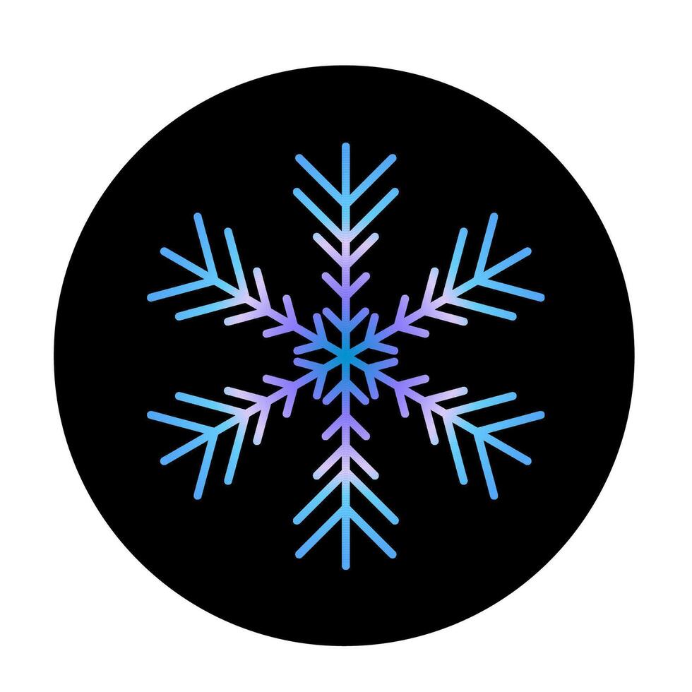 A snowflake is shown in a black circle vector