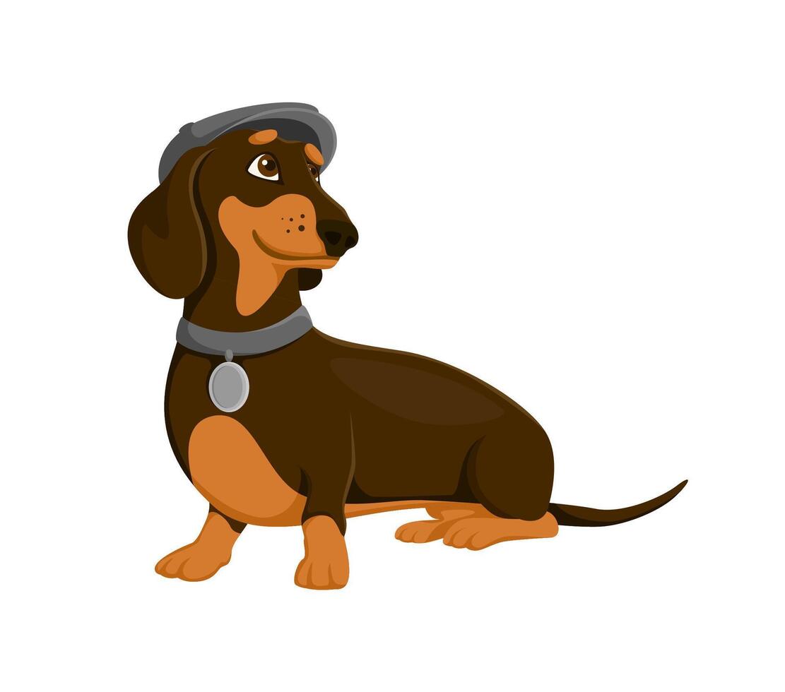 Cartoon stylish dachshund dog wearing gray cap vector