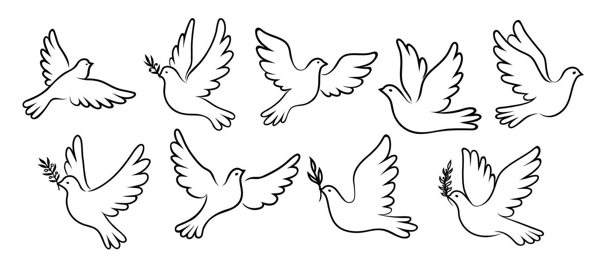 Christmas dove bird silhouettes with peace branch vector