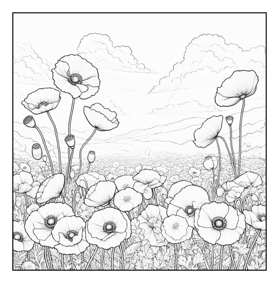 A black and white drawing of poppies in the field png