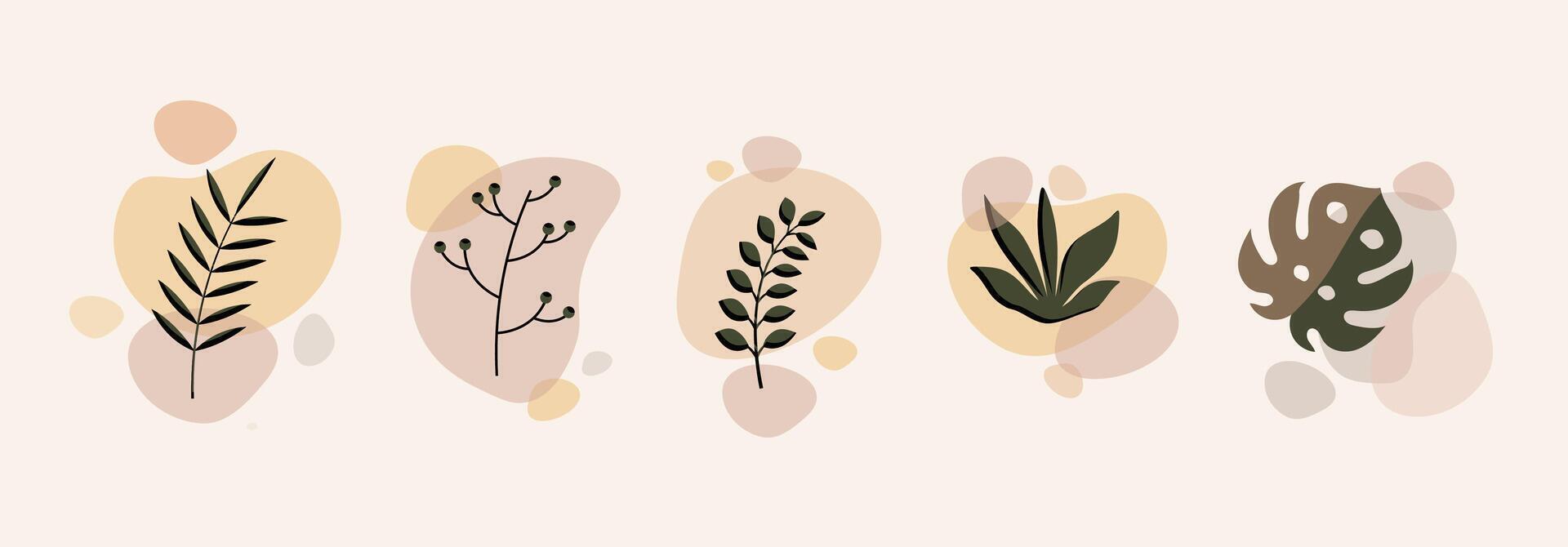 Abstract floral compositions. Boho story templates. Fluid organic shapes, neutral colors. Bohemian exotic leaf prints. Mid Century Modern design. leaves illustration vector