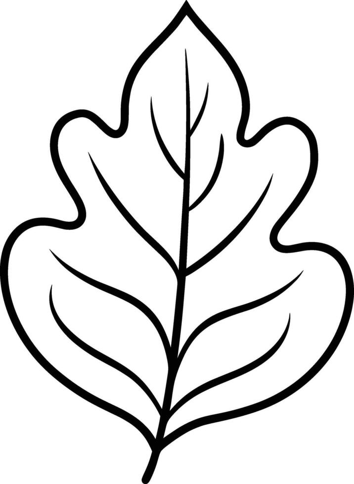 Hand-Drawn Oak Leaf Line Art - Minimalist Botanical Illustration vector
