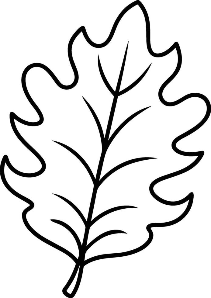 Hand-Drawn Oak Leaf Outline - Illustration vector