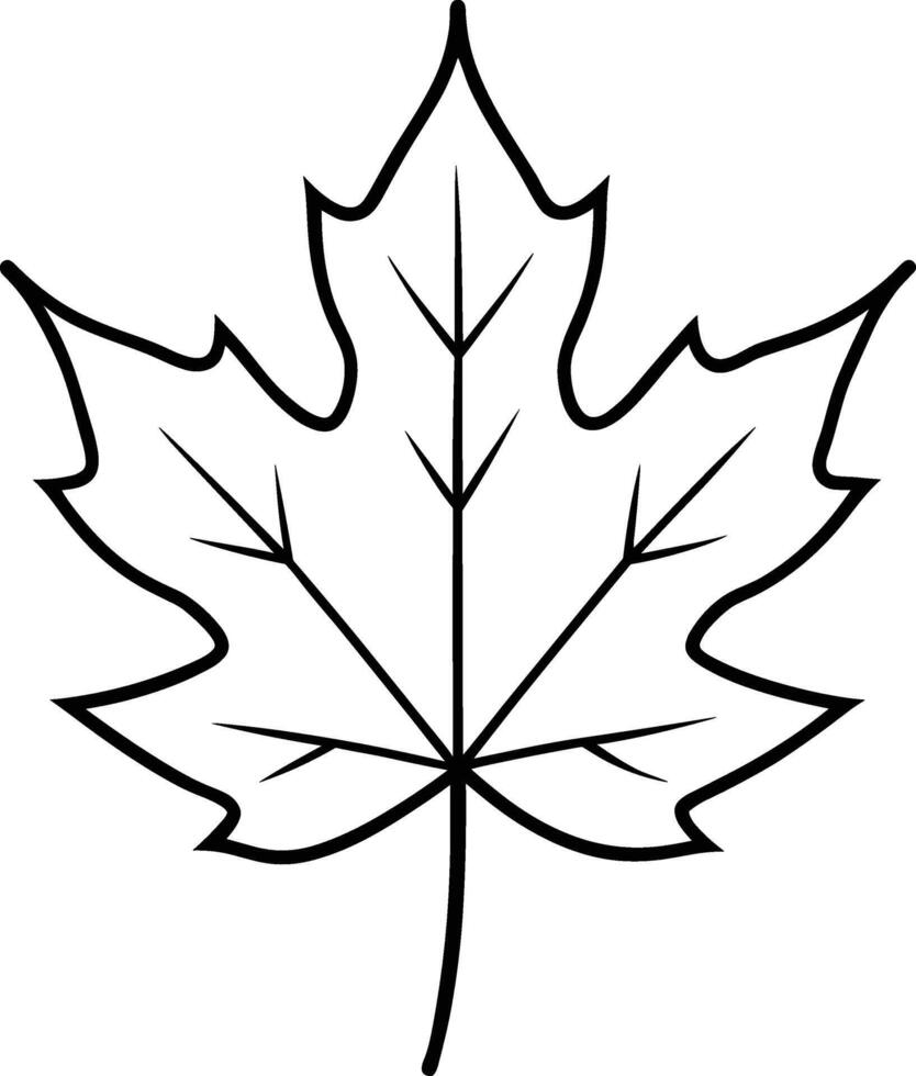 Autumn Maple Leaf Line Art - Minimalist Fall Illustration vector