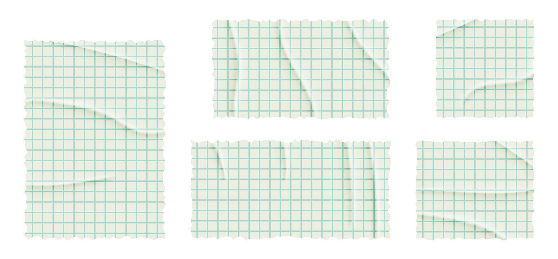 Set of torn lined, math note, notebook paper. Square grid sheet. Ripped pages of school notepad. illustration on transparent background. vector