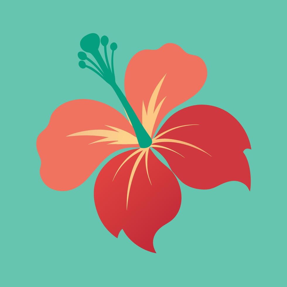 a red hibiscus flower on a green background vector