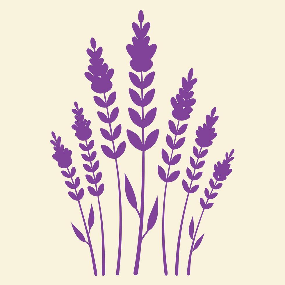 lavender flowers on a white background vector