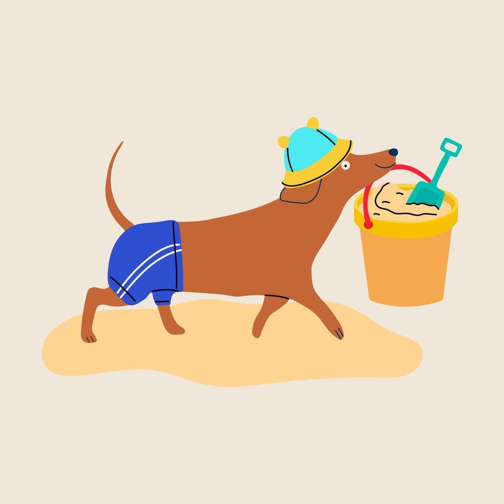 A cartoon dachshund dog playing in the sandbox at the beach with a bucket and shovel vector
