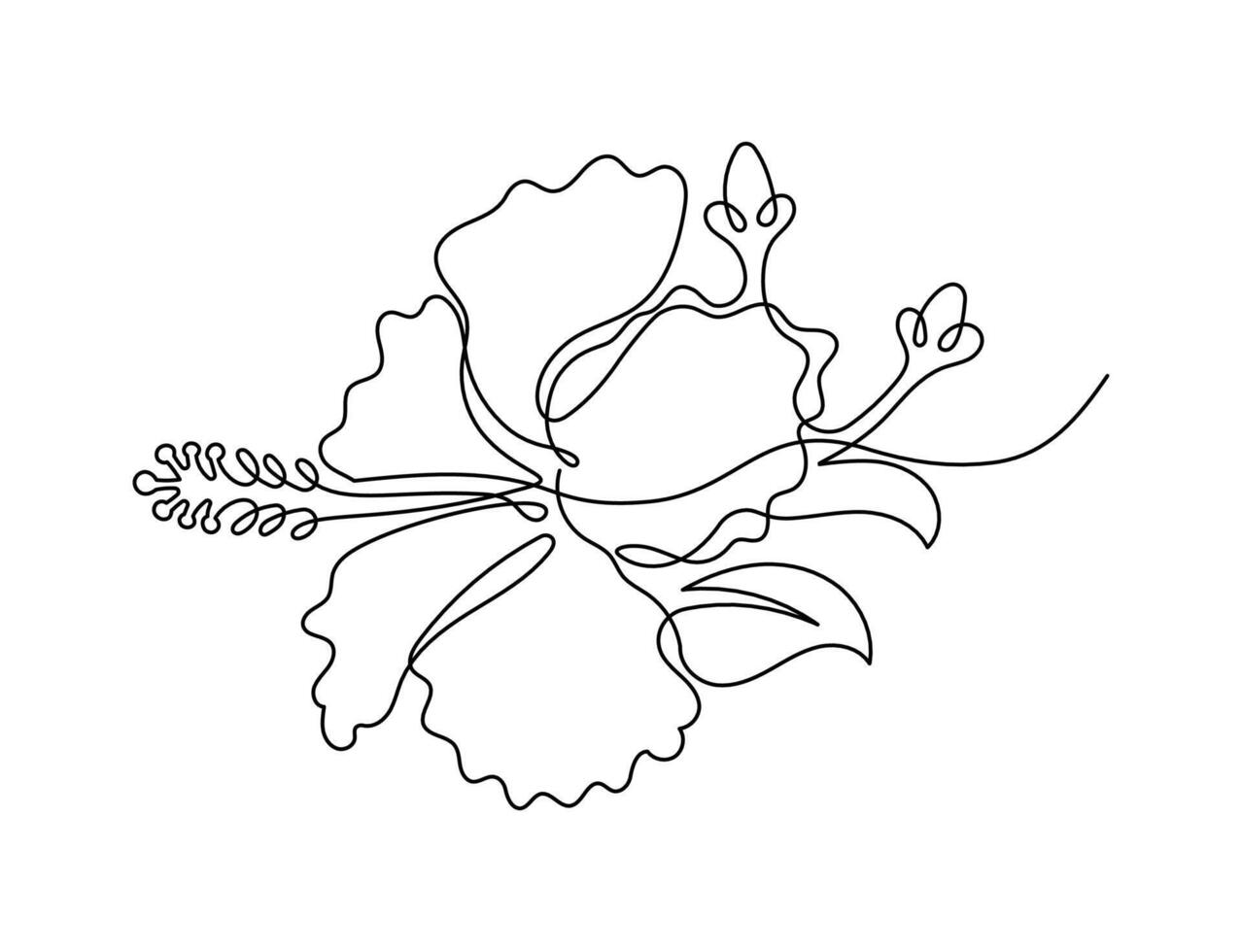 Hibiscus flower in one continuous line art drawing style. Floral minimalist black line sketch isolated on white background. Floral illustration. vector