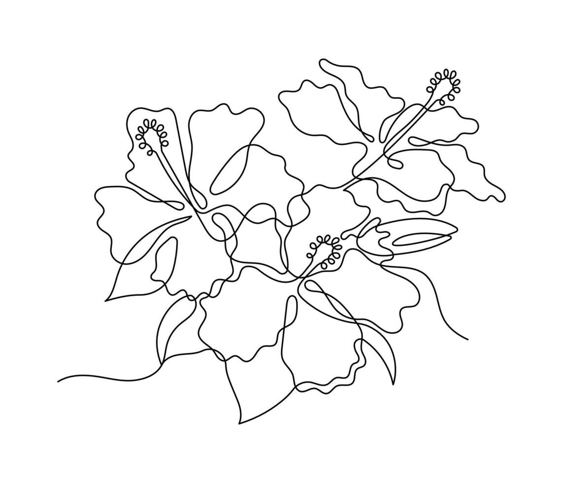 Hibiscus flower in one continuous line art drawing style. Minimalist black line sketch isolated on white background. flower illustration. vector