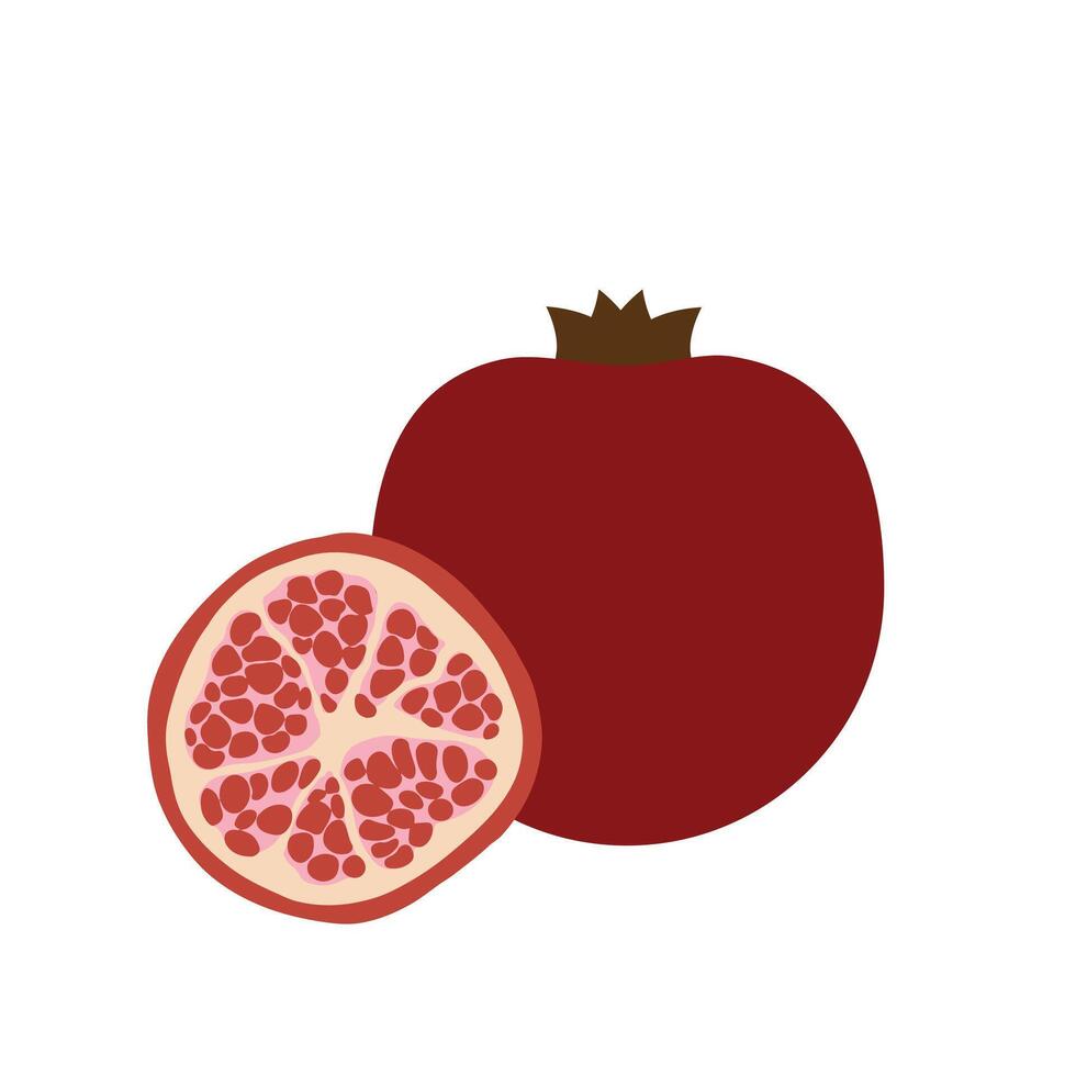 Flat illustration of whole pomegranate and sliced half with red seeds on white background for design use vector