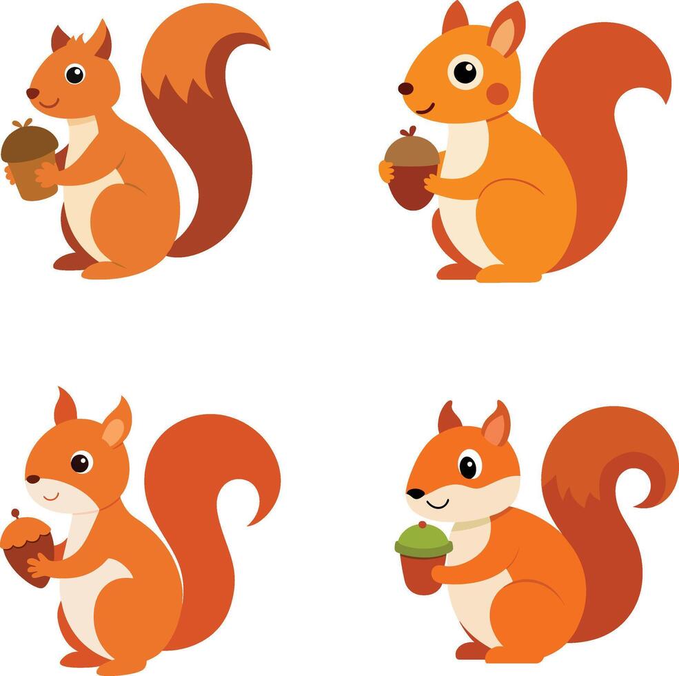 Curious Squirrel Holding An Acorn Illustration vector