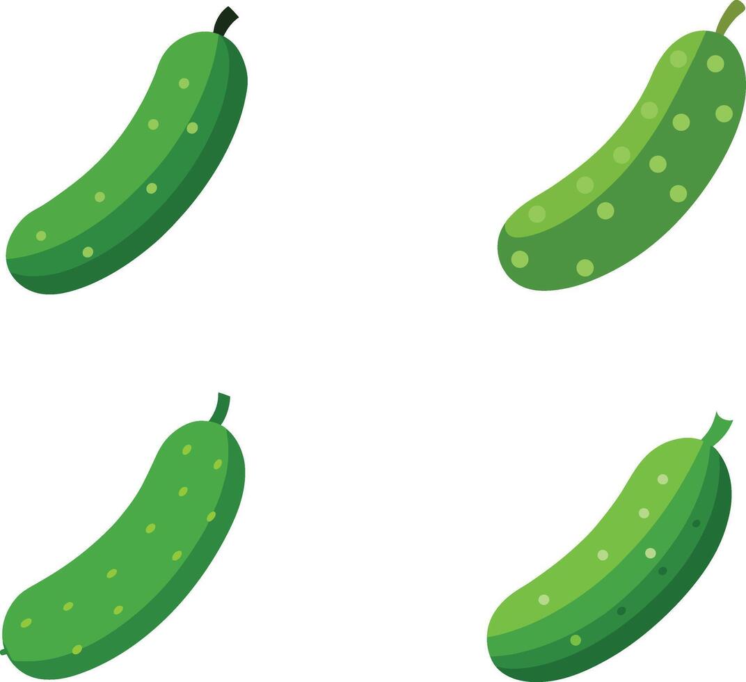 Cucumber Vegetable Illustration vector