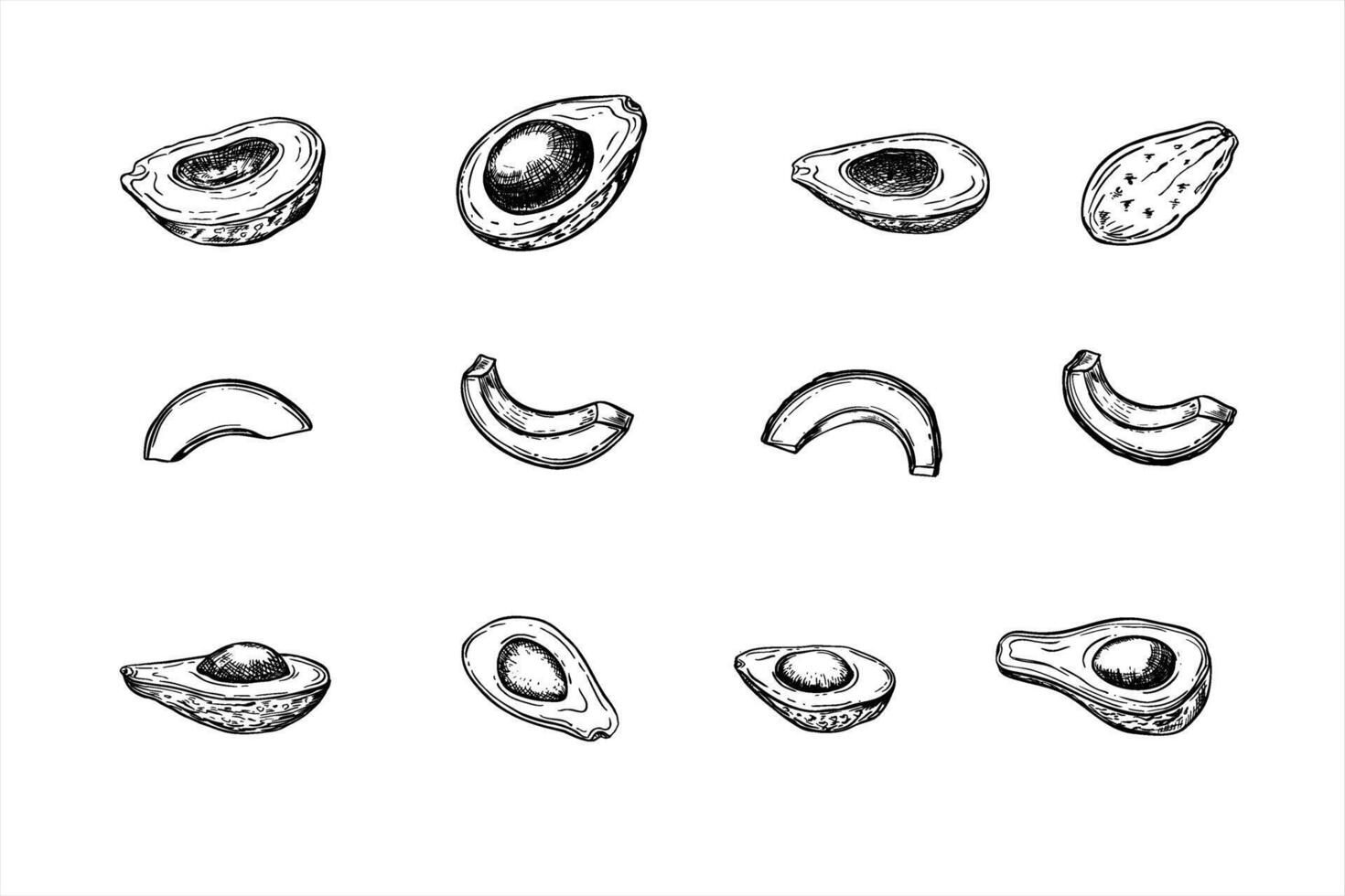Avocado set. Whole, half with and without pit, slices fruit fresh line art in black and white. Monochrome fruit illustration for healthy food branding, beauty packaging, and vegan recipe vector