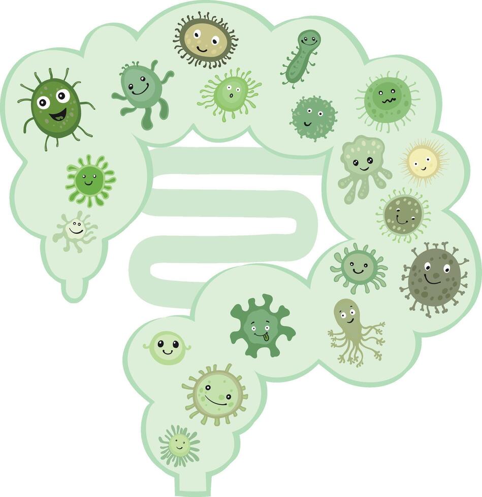 cute and friendly bacteria inside the human intestine, representing the gut microbiome vector