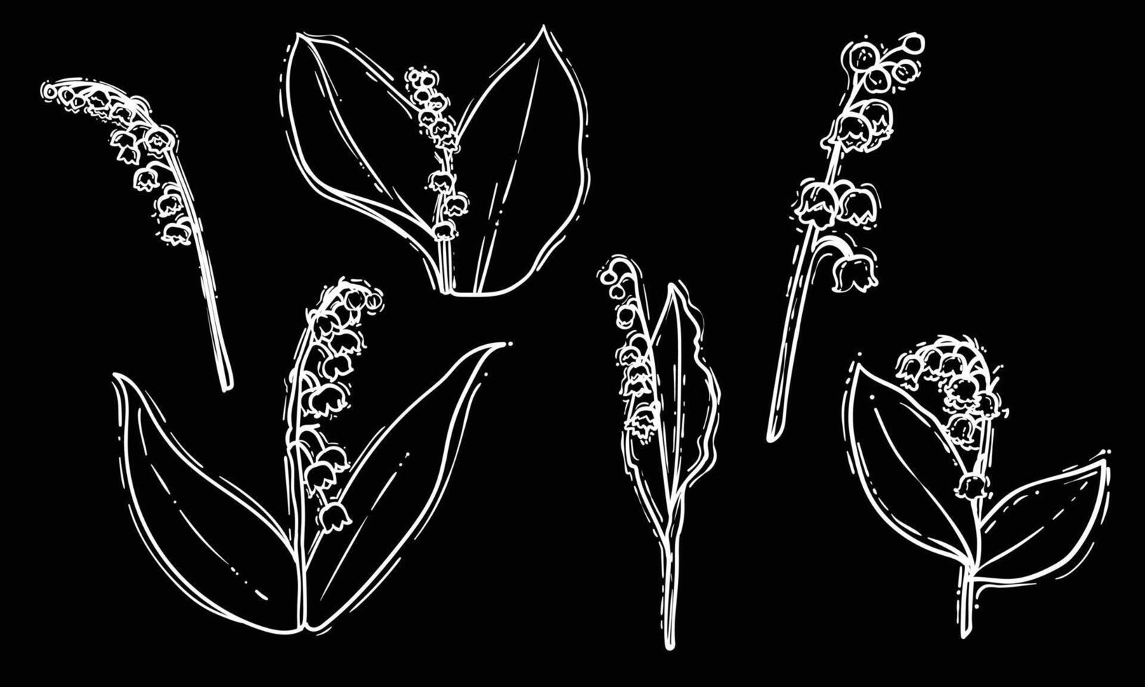 Set of hand drawn lilies of the valley. White line art of beautiful winter flowers isolated on a black background. Illustration for online and print projects. vector