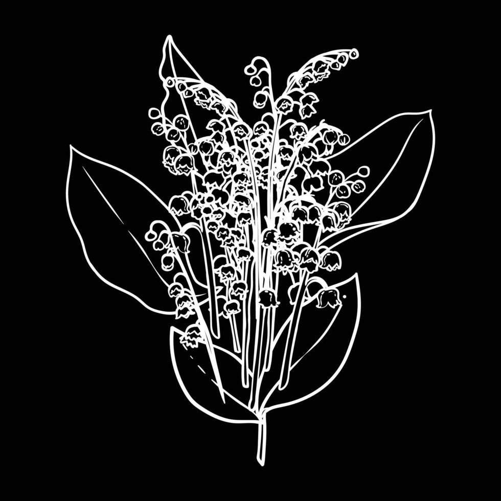 Hand drawn lilies of the valley bouquet with blooms and leaves.White outline of beautiful winter flowers isolated on a black background. Illustration for online and print projects. vector
