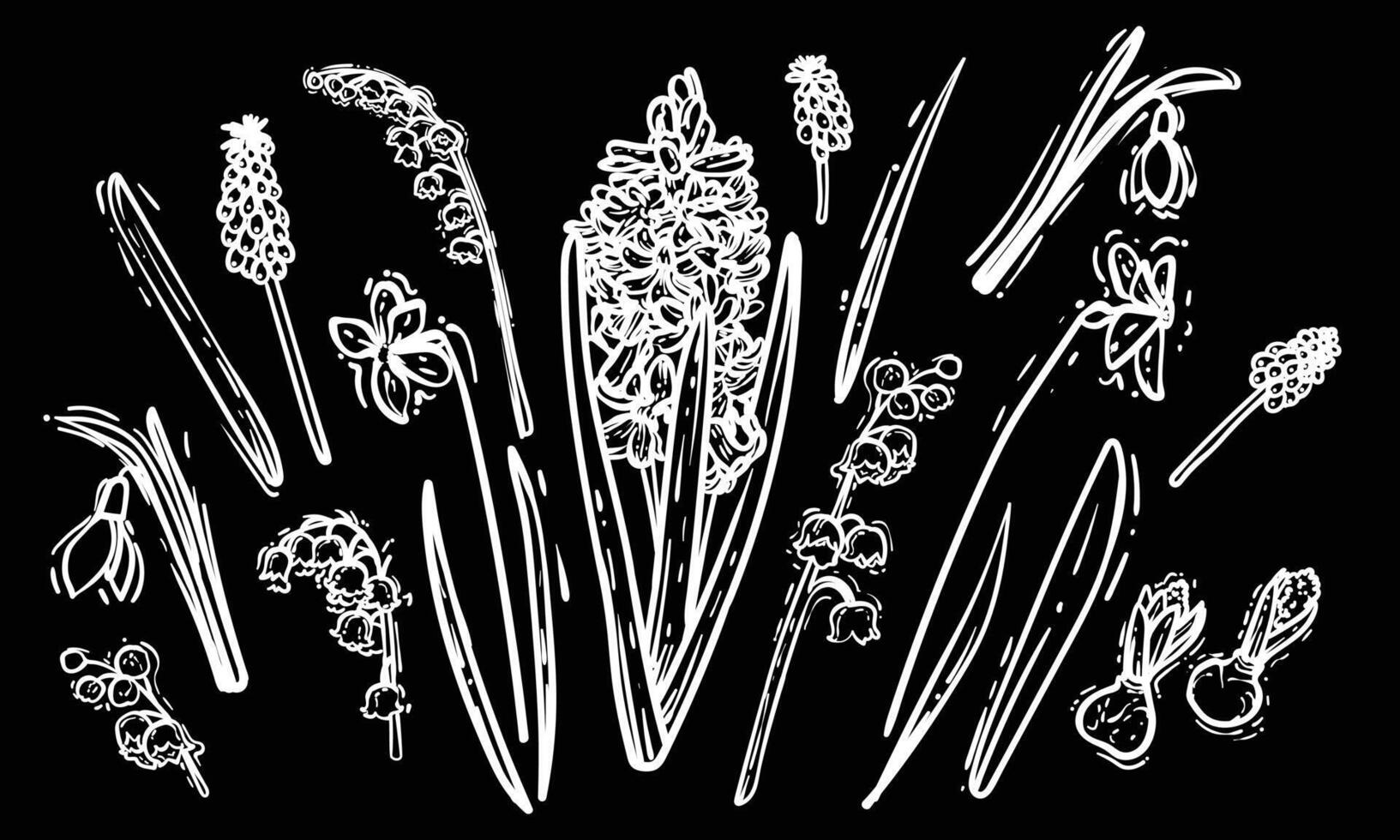 Black and white line art spring flowers. Hand drawn hyacinth, snowdrop, narcissus illustration. Doodle of flowers in a monochrome banner design. Ready to be used in print and online projects. vector