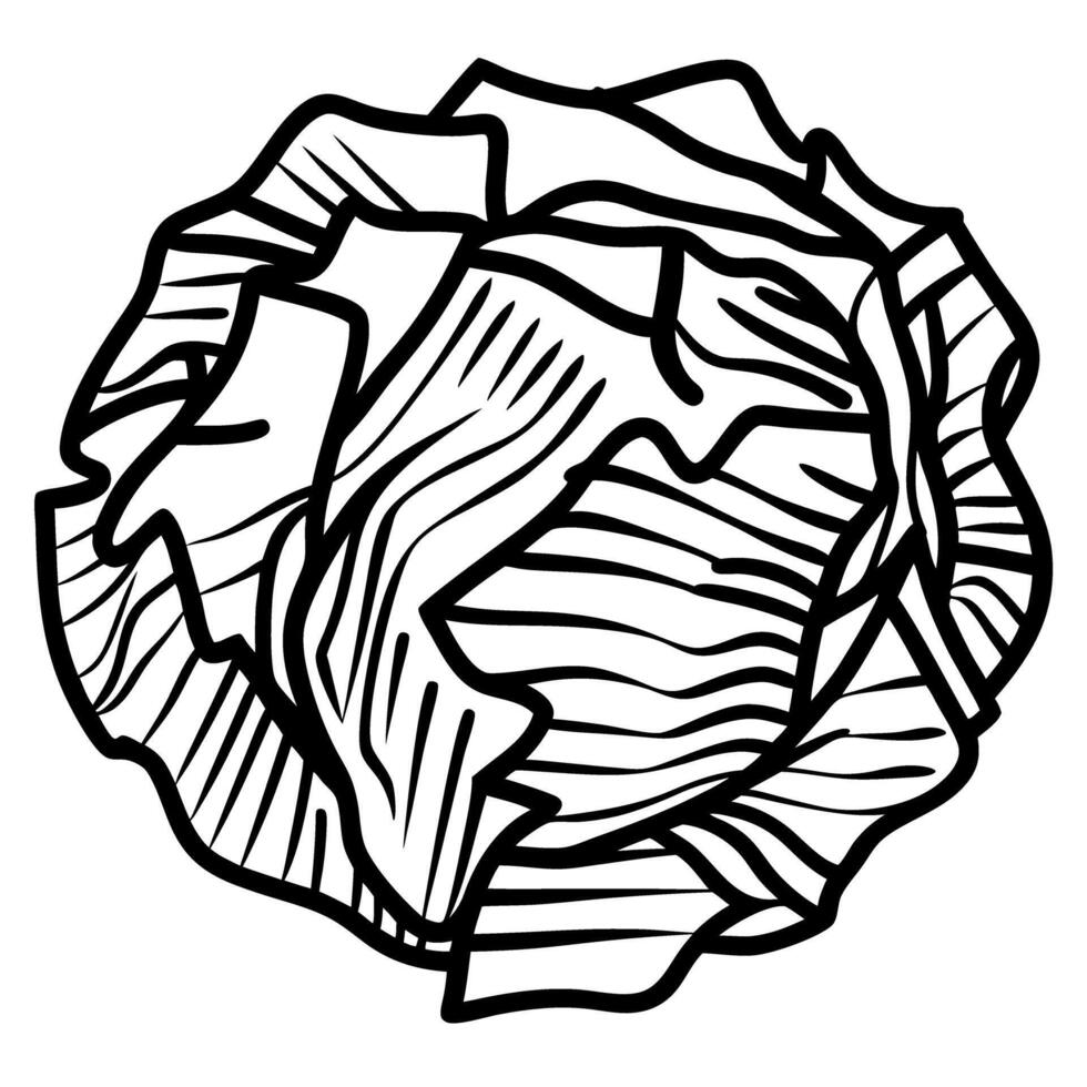 Black and white cabbage illustration detailed line art of leafy vegetable vector