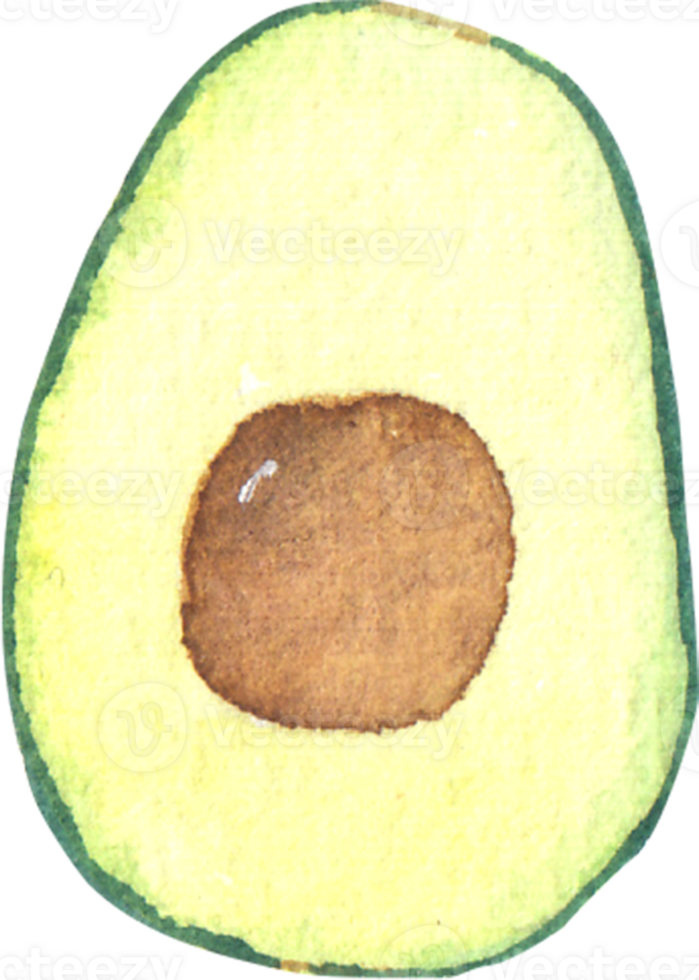 A watercolor illustration of a halved avocado showcasing its creamy yellow green flesh and a brown seed at the center png