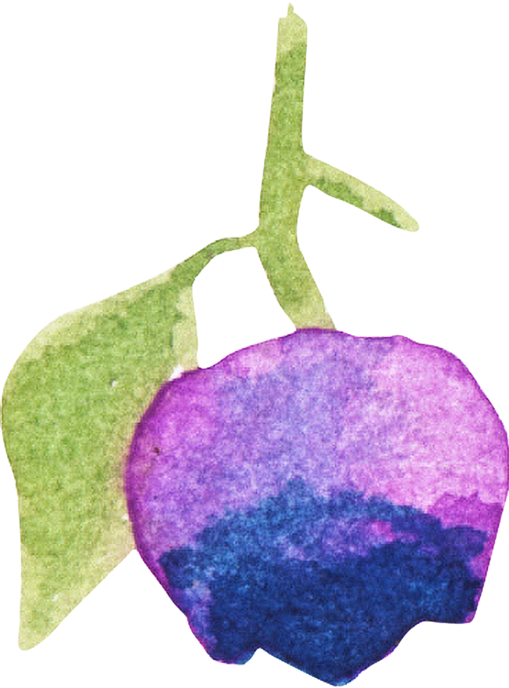 A delicate watercolor illustration of a single blueberry hanging from a green leafy branch png