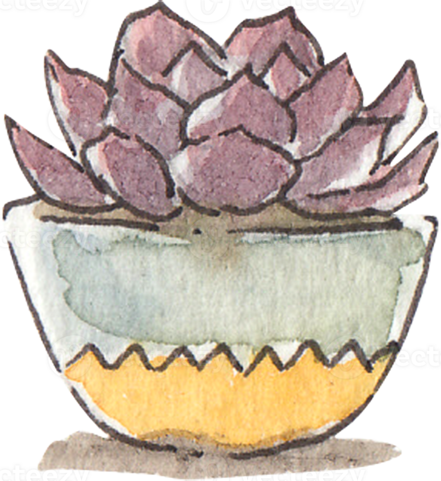 Watercolor illustration of a potted succulent with purple tinged leaves in a decorative ceramic pot with a zigzag pattern capturing a minimalist and botanical aesthetic png