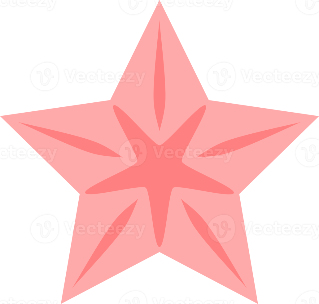 Pink star icon png