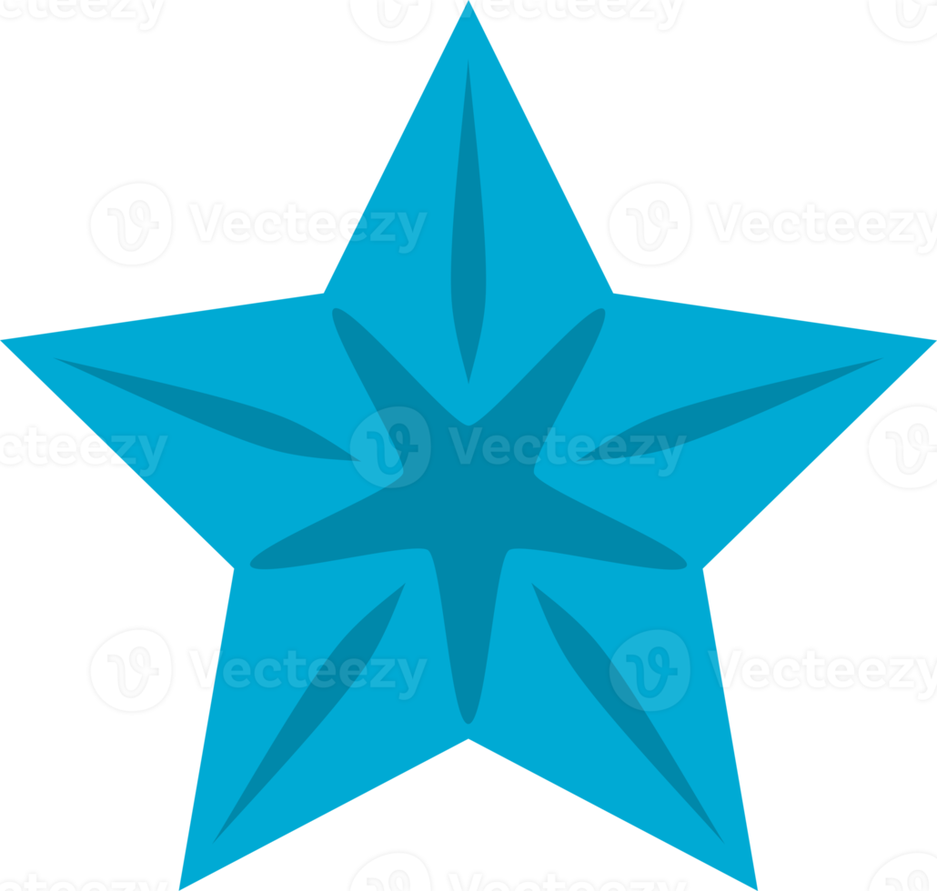 Blue star icon png