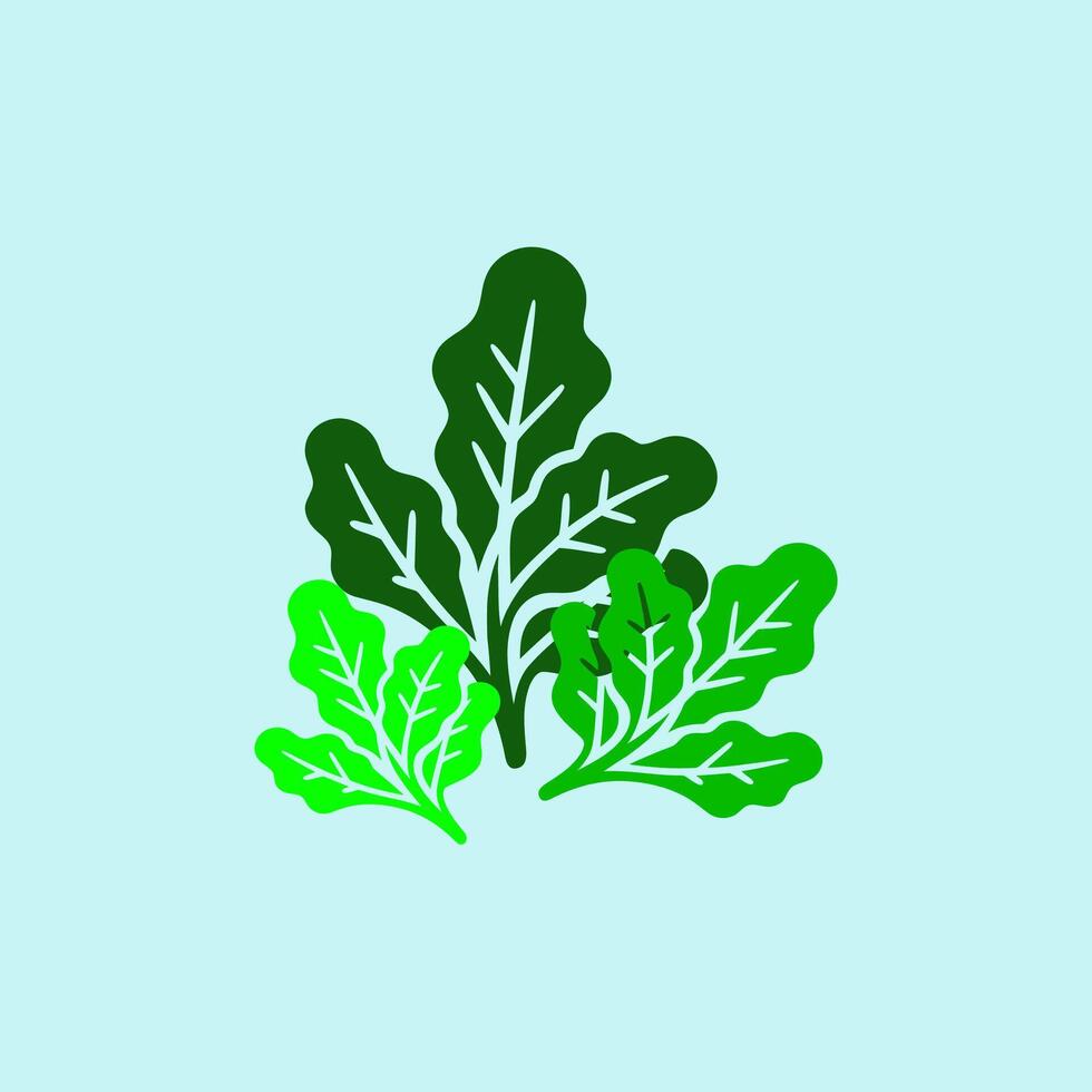 Fresh Green Leafy Vegetables Icon vector