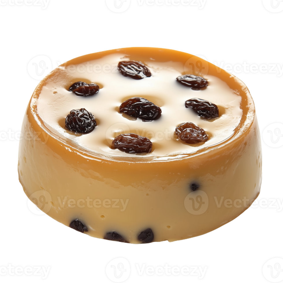 Isolated Chilean milk dessert with raisins on a clean background png