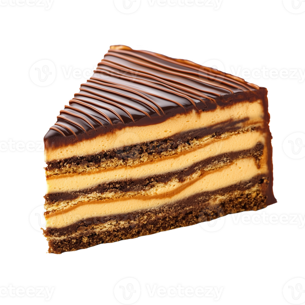 Delicious isolated Hungarian dobos torte with chocolate and caramel layers png