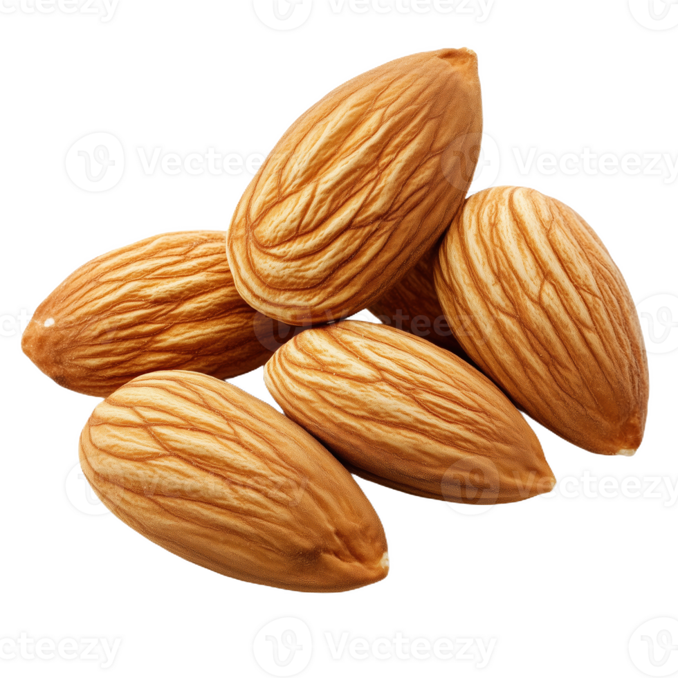 Isolated Moroccan almond briouat with rich textures and natural hues showcased png