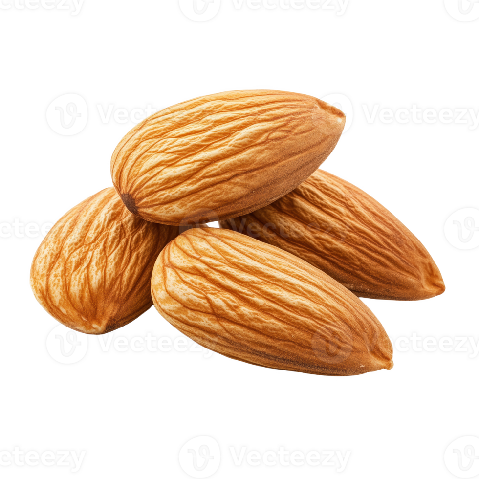 Isolated Moroccan almond briouat showcasing rich texture and traditional craftsmanship png
