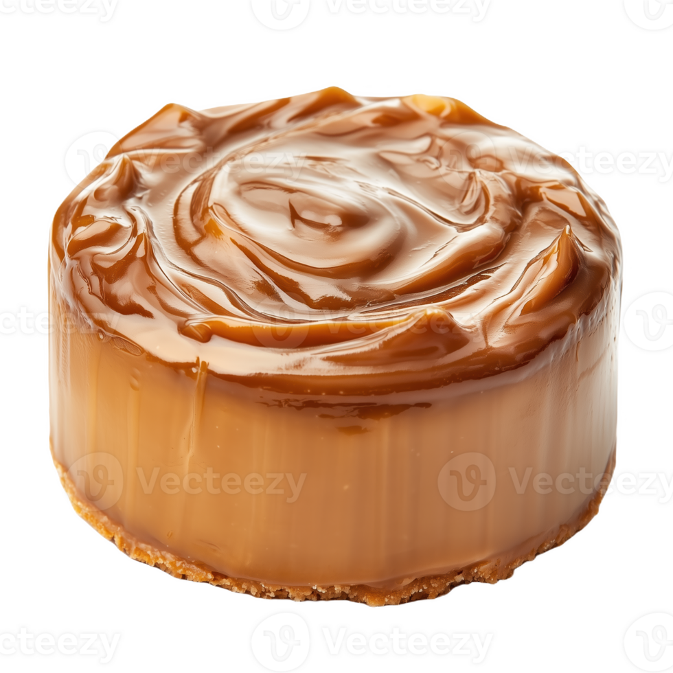 Delicious argentinian dulce piece with smooth caramel topping for dessert lovers png
