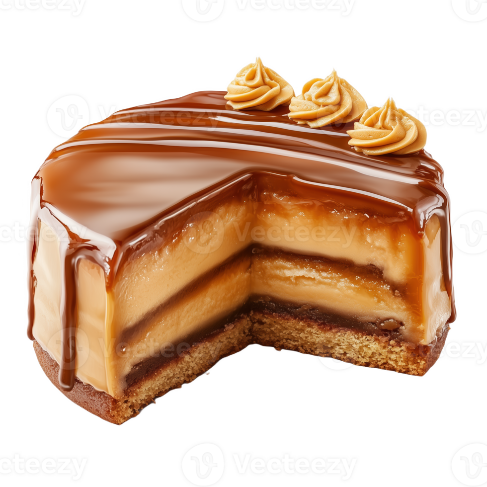 Delicious Argentinian dulce cake with caramel layers and creamy topping png