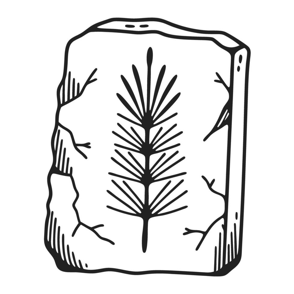fossilized leaf print ancient plant impression on stone slab black and white illustration, natural history artifact vector